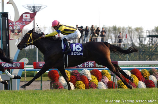 Queen Elizabeth II Cup (G1)