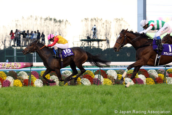 Queen Elizabeth II Cup (G1)