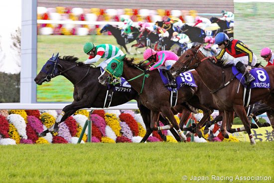 Queen Elizabeth II Cup (G1)