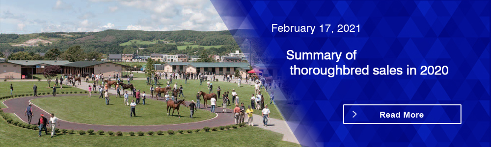 Summary of thoroughbred sales in 2020