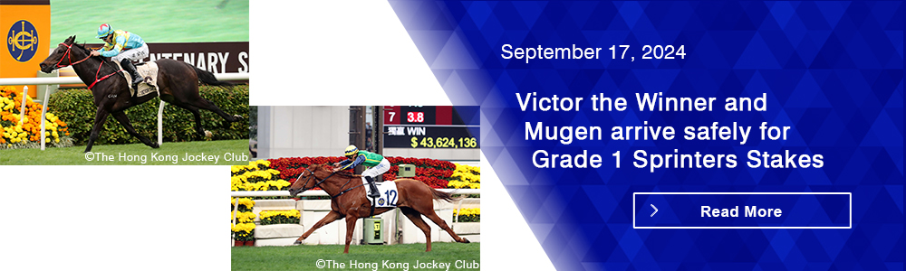 Victor the Winner and Mugen arrive safely for Grade 1 Sprinters Stakes