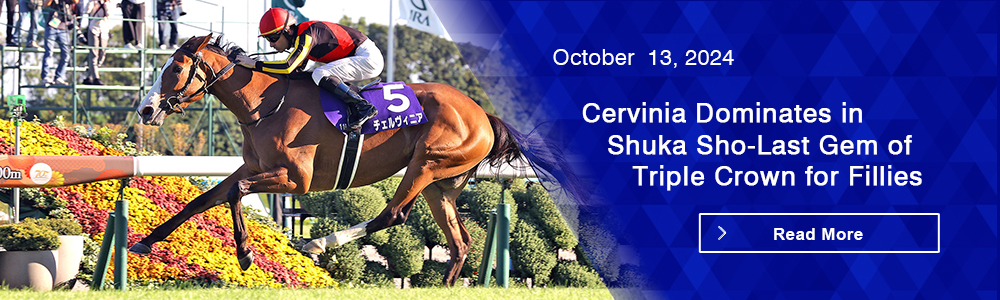 Cervinia Dominates in Shuka Sho-Last Gem of Triple Crown for Fillies