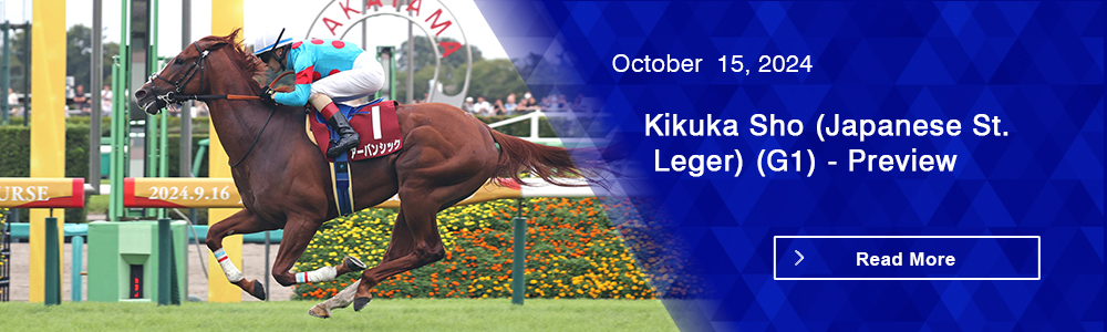 Kikuka Sho (Japanese St. Leger) (G1) - Preview