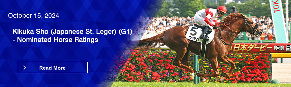 Kikuka Sho (Japanese St. Leger) (G1) - Nominated Horse Ratings