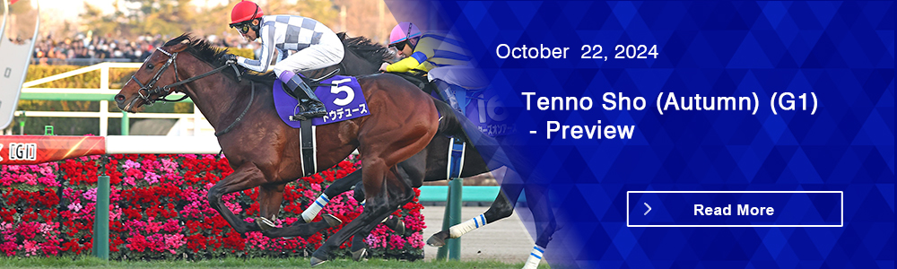 Tenno Sho (Autumn) (G1) - Preview