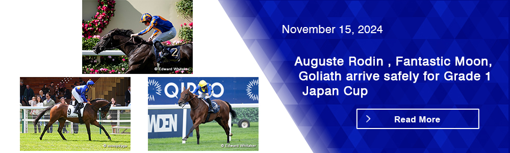 Auguste Rodin, Fantastic Moon, Goliath arrive safely for Grade 1 Japan Cup