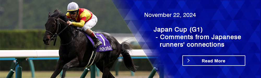 Japan Cup (G1) - Comments from Japanese runners' connections