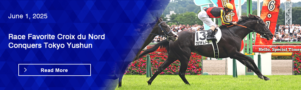 Race Favorite Croix du Nord Conquers Tokyo Yushun