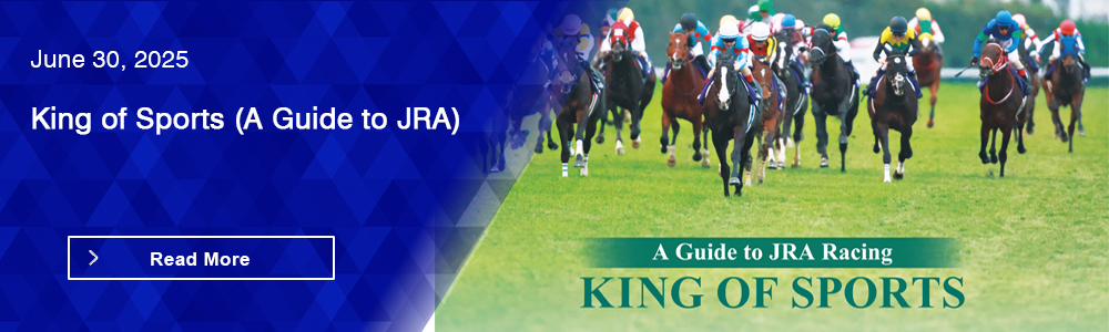King of Sports (A Guide to JRA)