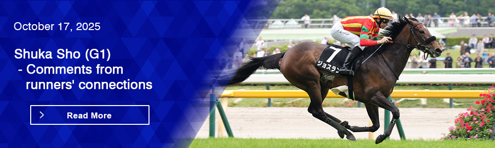 Shuka Sho (G1) - Comments from runners' connections
