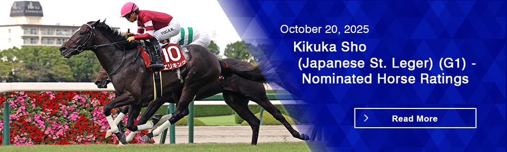 Kikuka Sho (Japanese St. Leger) (G1) - Nominated Horse Ratings