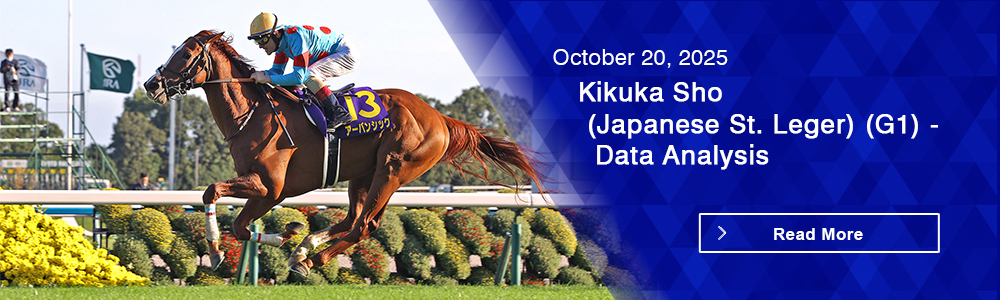 Kikuka Sho (Japanese St. Leger) (G1) - Data Analysis