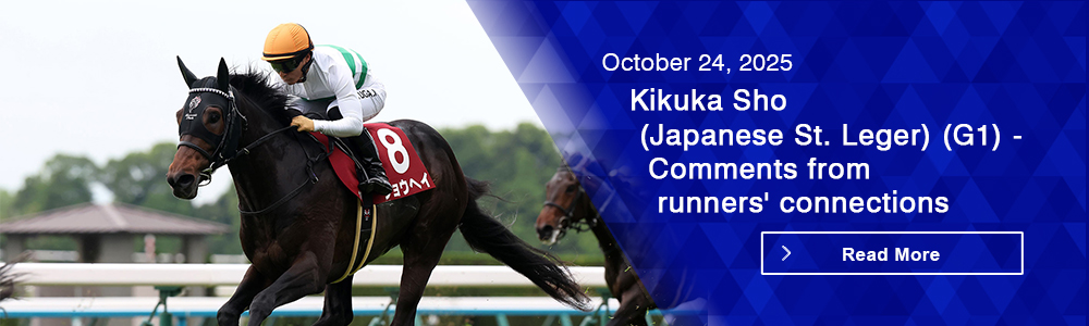 Kikuka Sho (Japanese St. Leger) (G1) - Comments from runners' connections