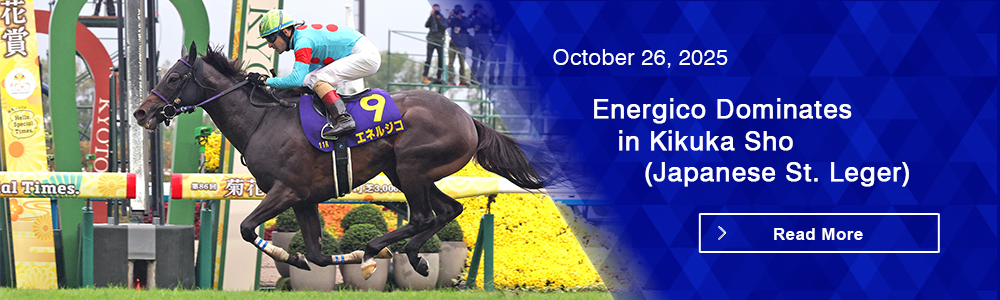 Energico Dominates in Kikuka Sho (Japanese St. Leger)