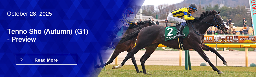 Tenno Sho (Autumn) (G1) - Preview