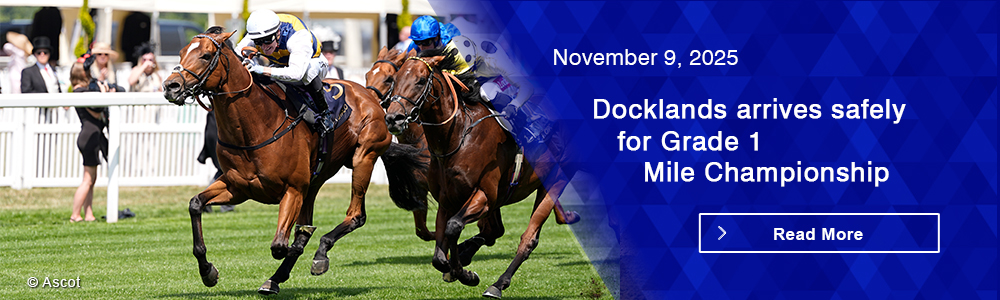 Docklands arrives safely for Grade 1 Mile Championship
