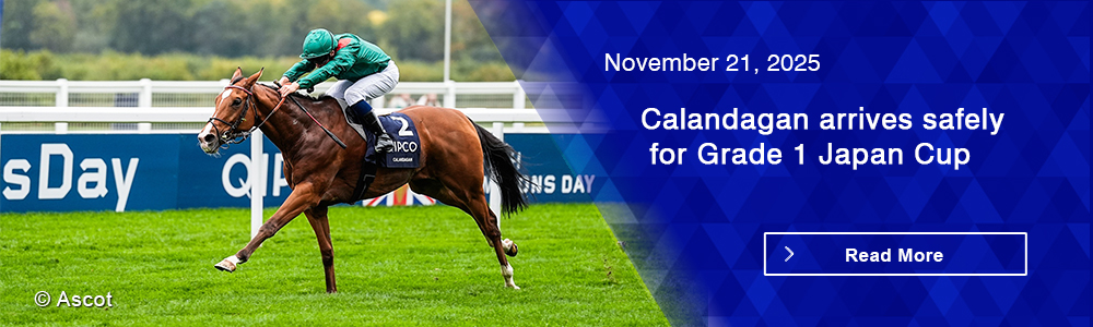 Calandagan arrives safely for Grade 1 Japan Cup