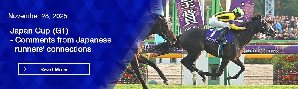 Japan Cup (G1) - Comments from Japanese runners' connections