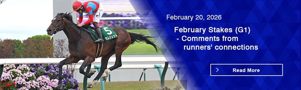 February Stakes (G1) - Comments from runners' connections