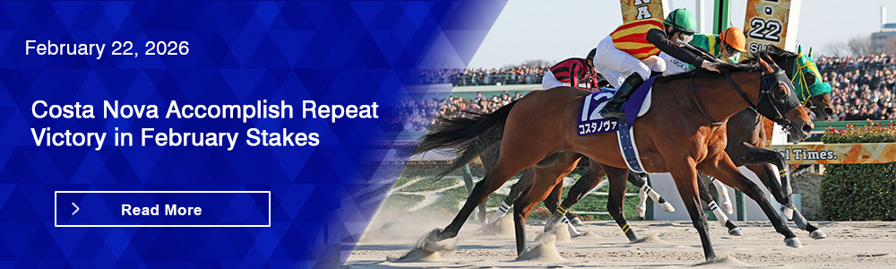Costa Nova Accomplish Repeat Victory in February Stakes
