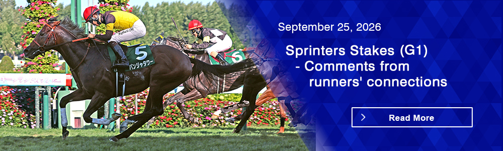 Sprinters Stakes (G1) - Comments from runners' connections