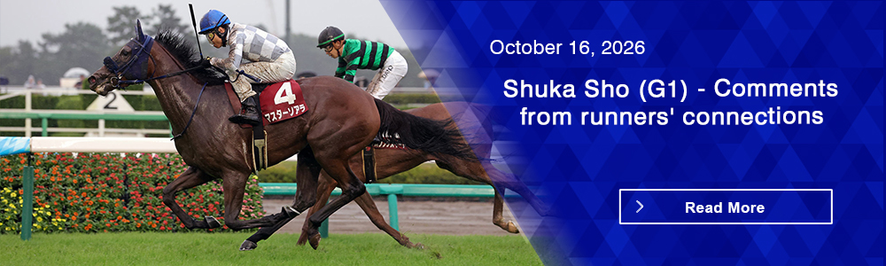 Shuka Sho (G1) - Comments from runners' connections