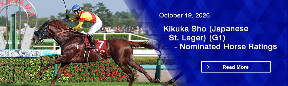 Kikuka Sho (Japanese St. Leger) (G1) - Nominated Horse Ratings