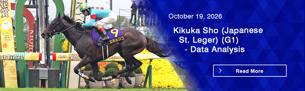 Kikuka Sho (Japanese St. Leger) (G1) - Data Analysis