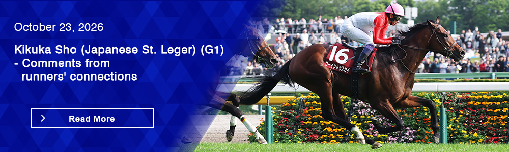 Kikuka Sho (Japanese St. Leger) (G1) - Comments from runners' connections