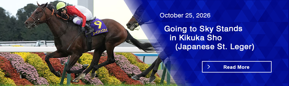 Going to Sky Stands in Kikuka Sho (Japanese St. Leger)