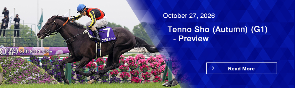 Tenno Sho (Autumn) (G1) - Preview