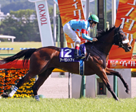 Horse Racing In Japan