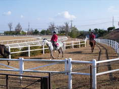 QUARANTINE CENTERS