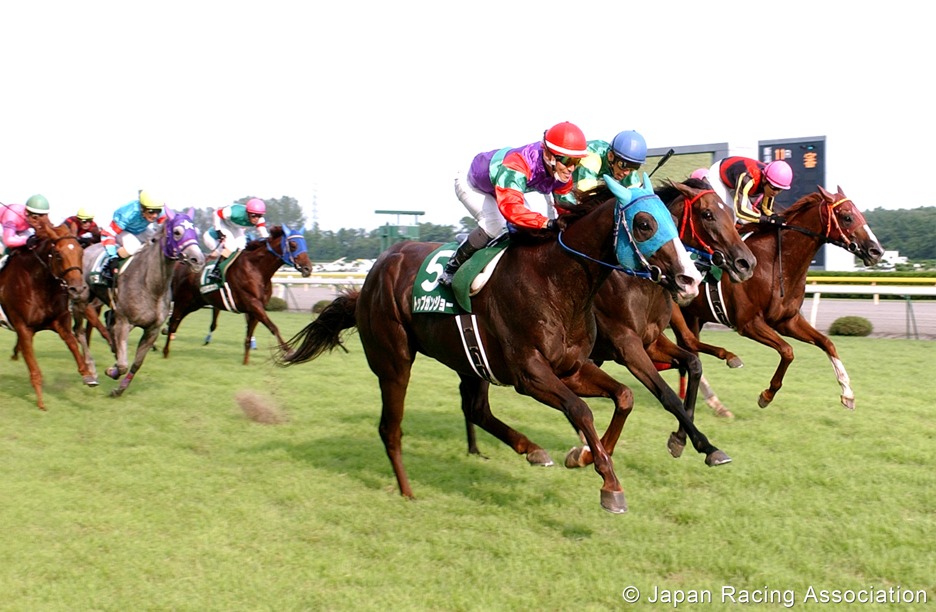 Photo Gallery｜News & Media｜Horse Racing In Japan