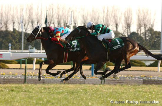 Nikkan Sports Sho Shinzan Kinen (JPN G3)