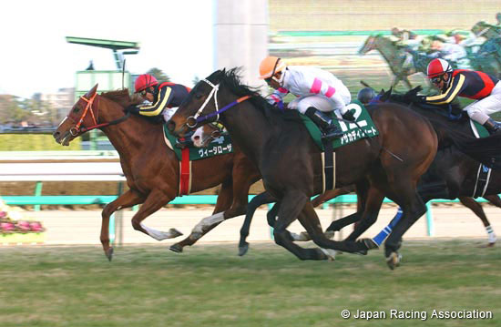 Nikkan Sports Sho Nakayama Kimpai (JPN G3)