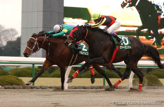 Heian Stakes (JPN G3)