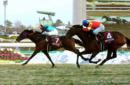 American Jockey Club Cup (JPN G2)