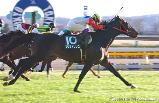 Tokyo Shimbun Hai (JPN G3)