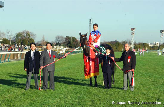 Tokyo Shimbun Hai (JPN G3)