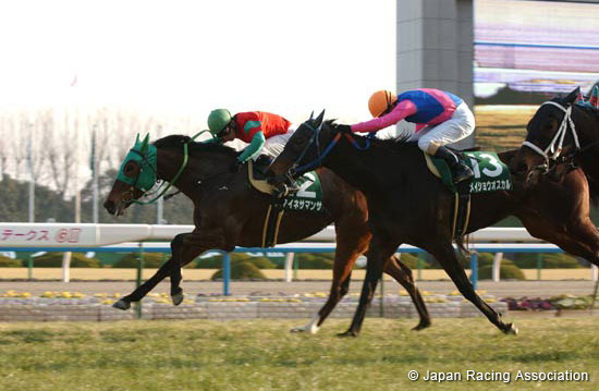 Kyoto Himba Stakes (JPN G3)