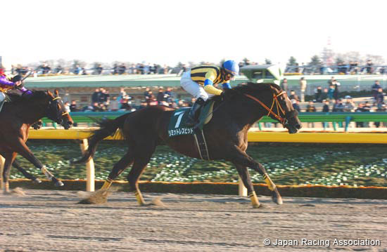 Negishi Stakes (JPN G3)