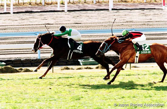 Kokura Daishoten (JPN G3)