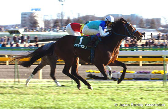 Kyodo News Service Hai (Tokinominoru Kinen) (JPN G3)