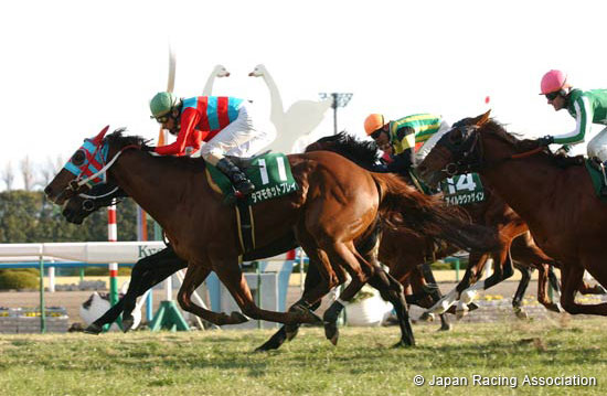 Silk Road Stakes (JPN G3)