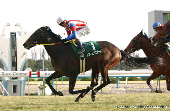 Kisaragi Sho (NHK Sho) (JPN G3)