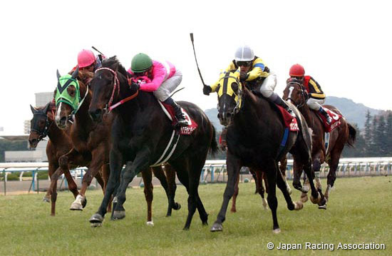 Kyoto Kinen (JPN G2)