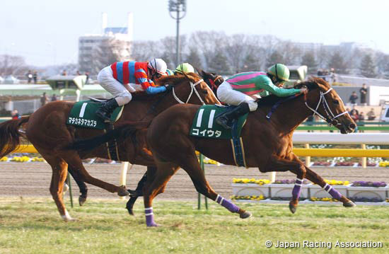 Daily Hai Queen Cup (JPN G3)