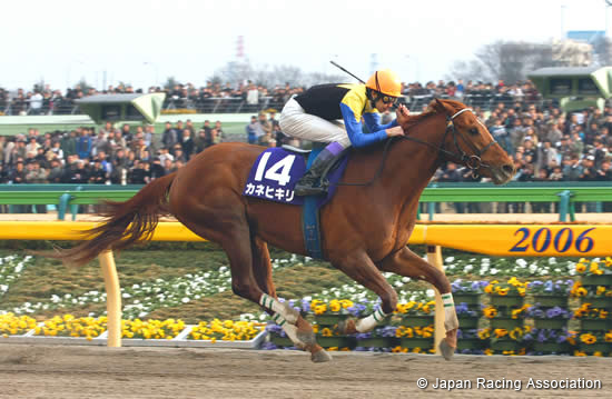 February Stakes (JPN G1)