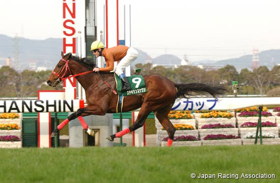 Arlington Cup (JPN G3)